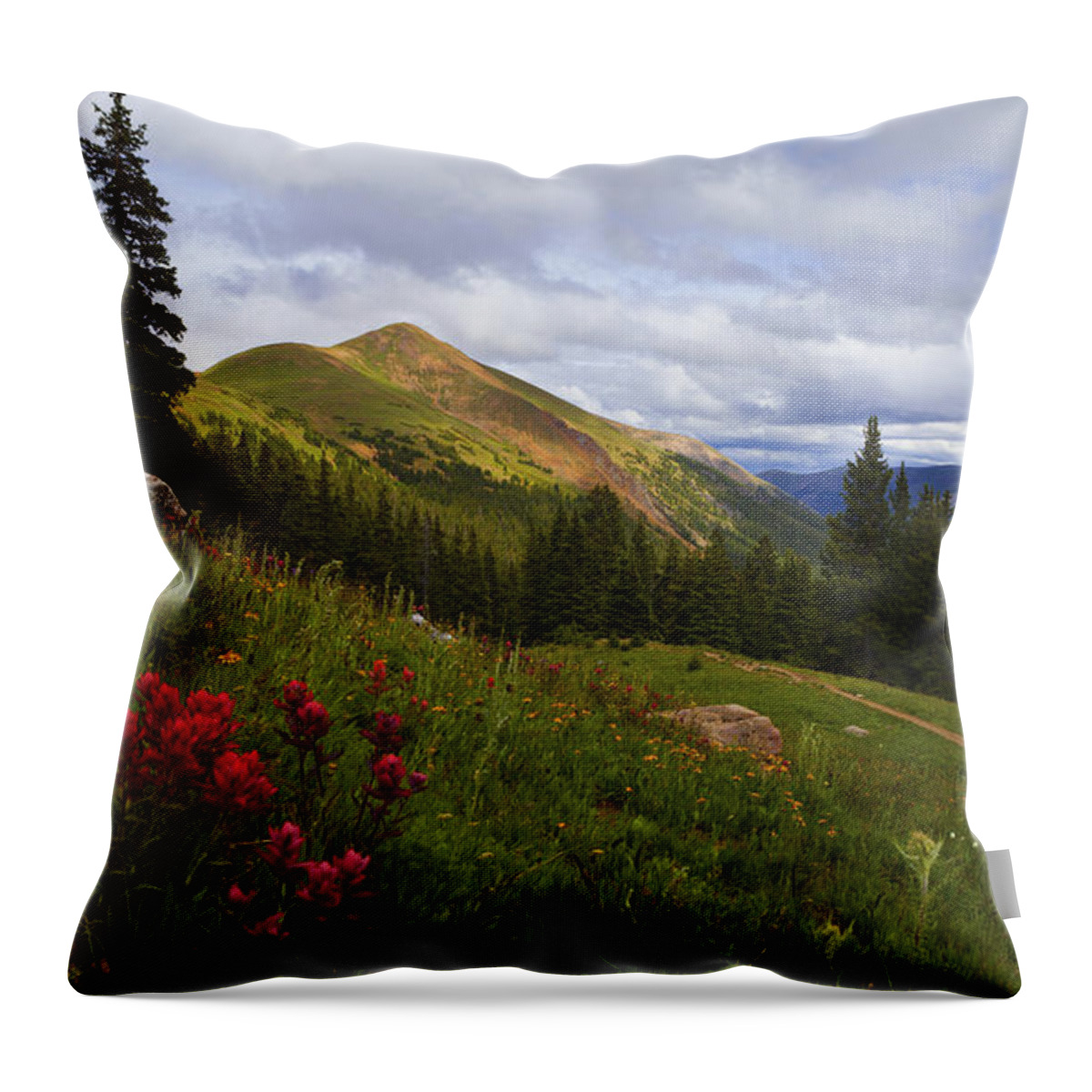 Rocky Mountains Throw Pillow featuring the photograph Rosy Paintbrushes by Barbara Schultheis