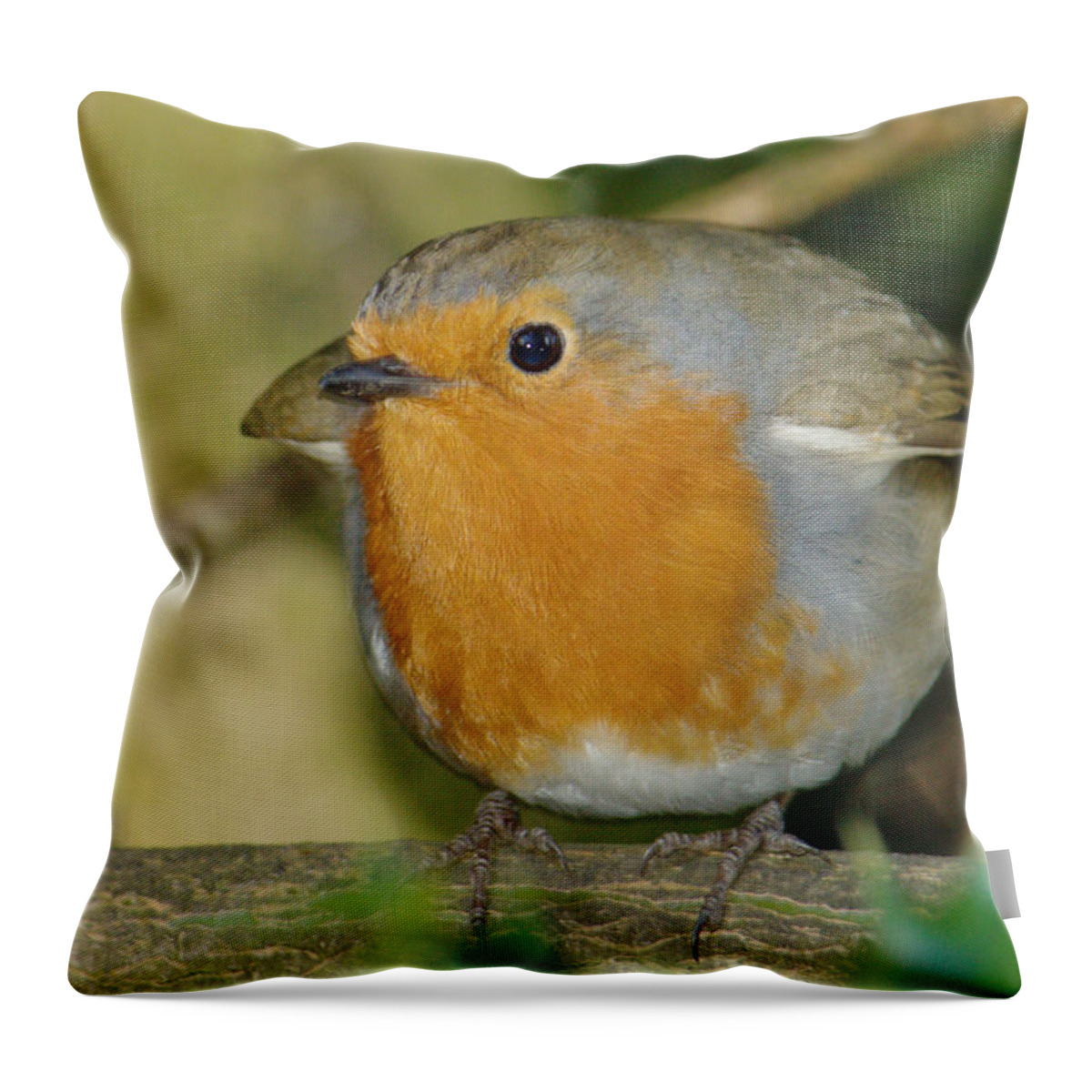 Robin Throw Pillow featuring the photograph Round Robin by Adrian Wale