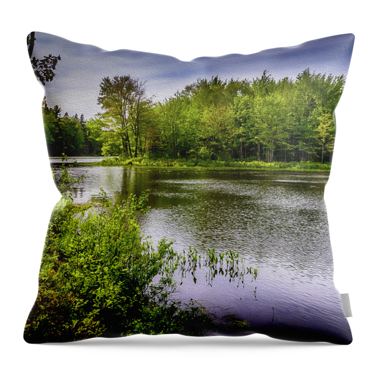 Durham Throw Pillow featuring the photograph Round The Bend In Oil 36 by Mark Myhaver