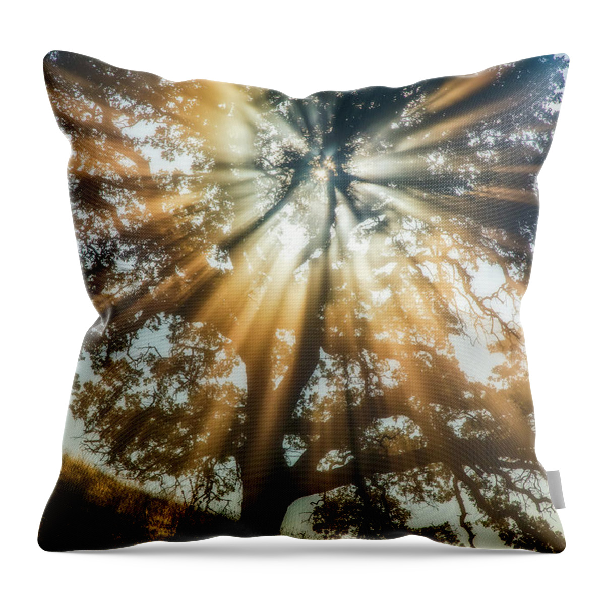 Landscape Throw Pillow featuring the photograph Round Valley Rays by Marc Crumpler