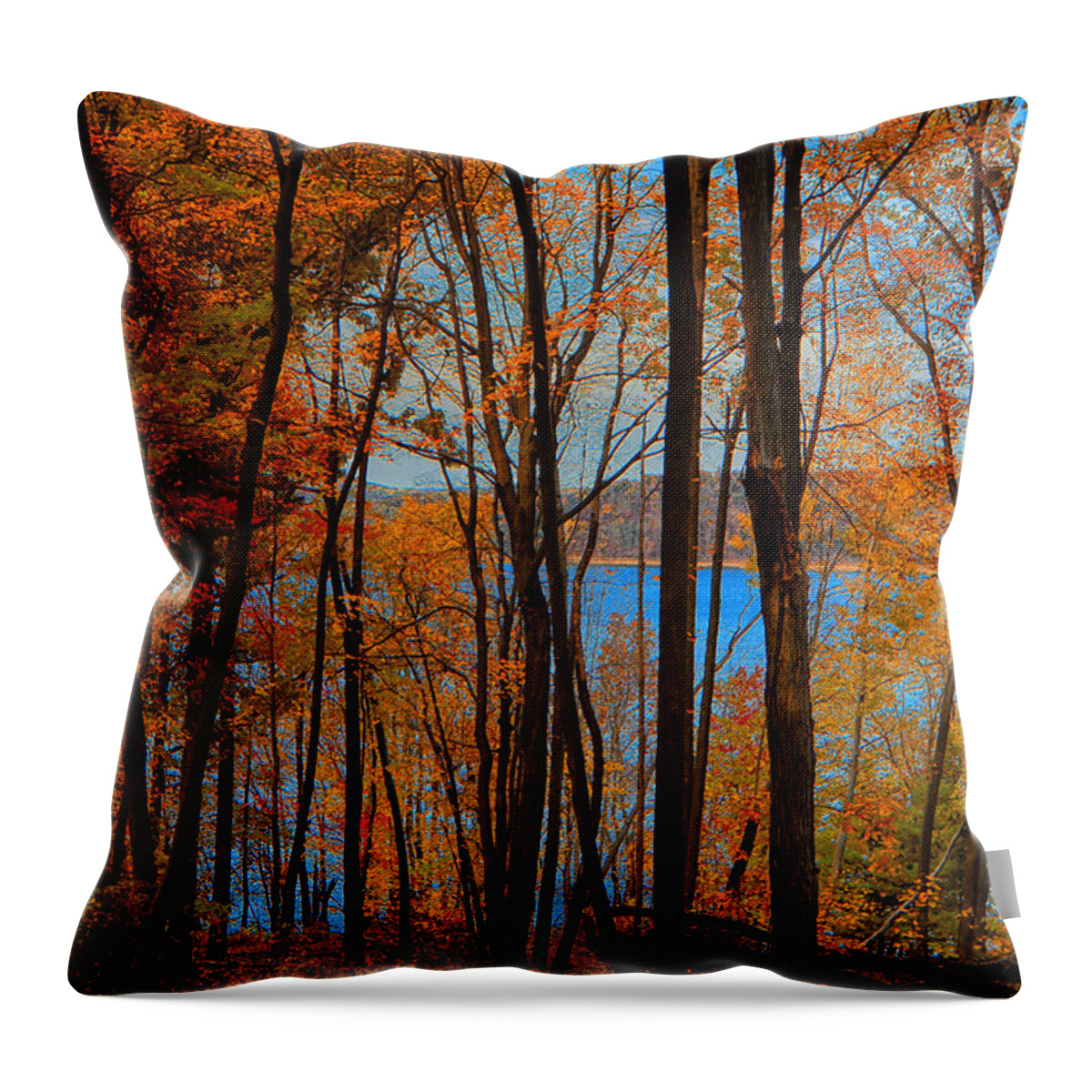 Round Valley State Park Throw Pillow featuring the photograph Round Valley State Park 5 by Raymond Salani III