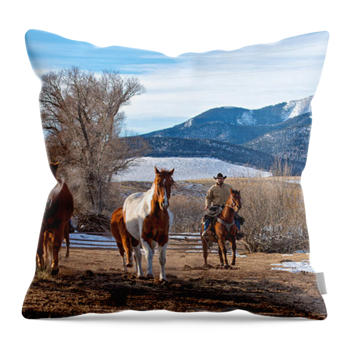 Colorado Throw Pillow featuring the photograph Roundup Heading for the Corral by Elin Skov Vaeth