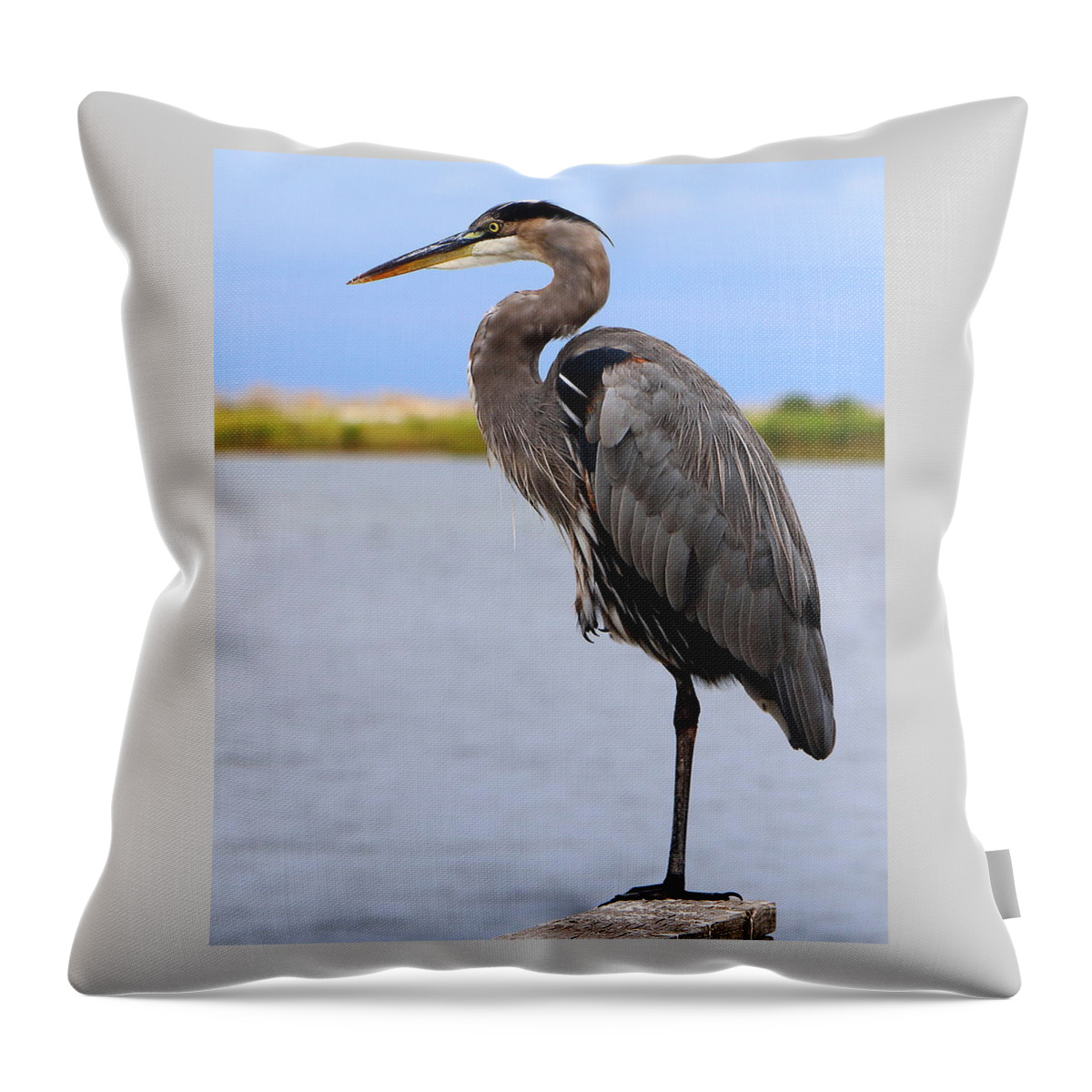 Liza Throw Pillow featuring the photograph Royal Blue Heron by Larry Beat