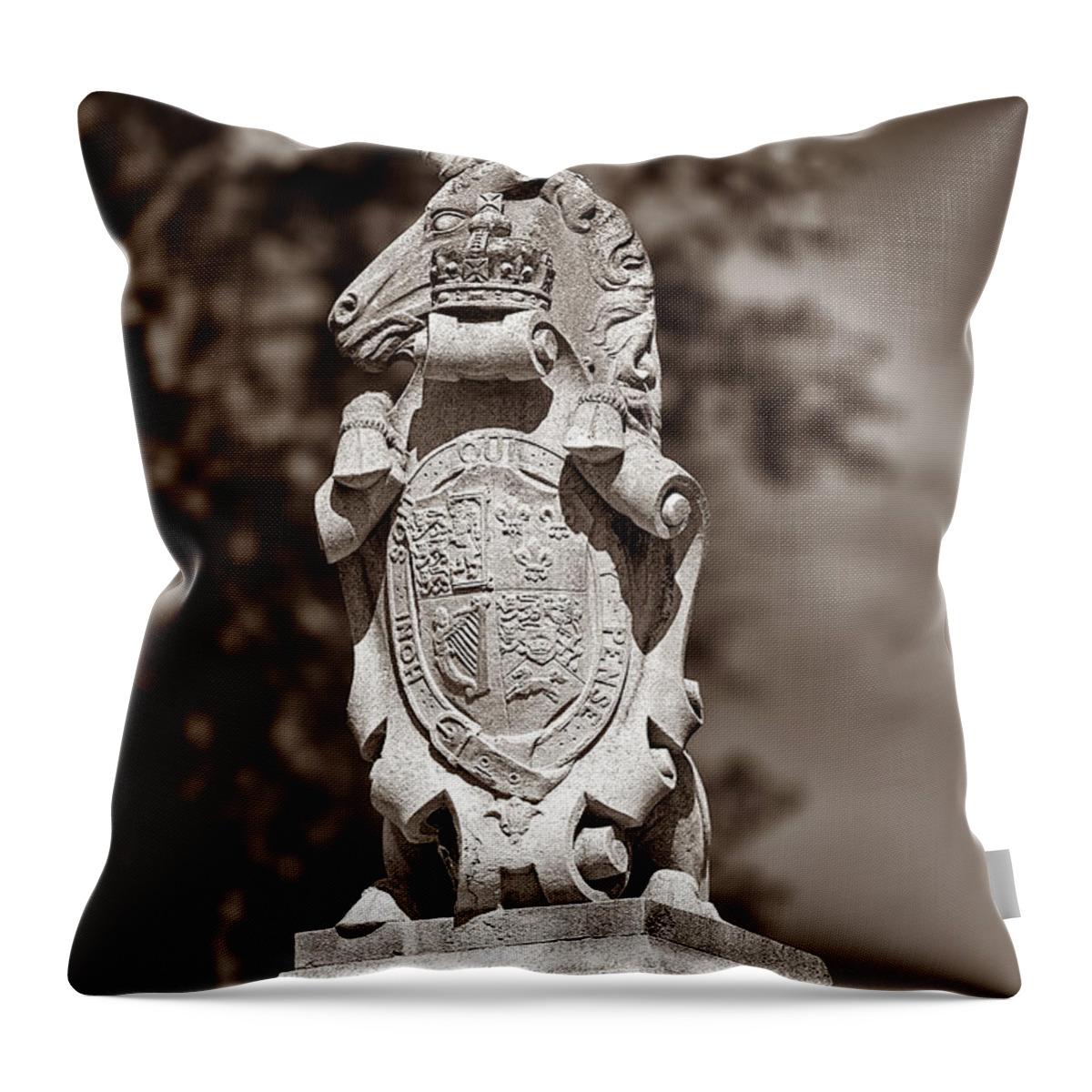Unicorn Throw Pillow featuring the photograph Royal Unicorn - Sepia by Christopher Holmes
