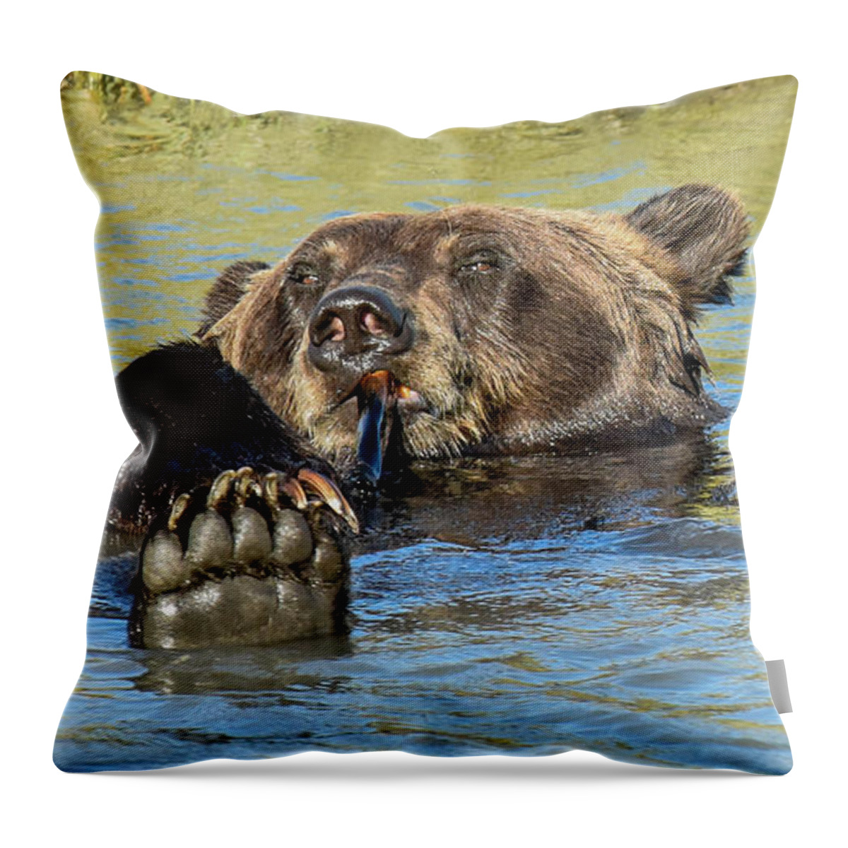 Brown Bear Throw Pillow featuring the photograph Rub a Dub Dub A Bear in his Tub by Don Mennig