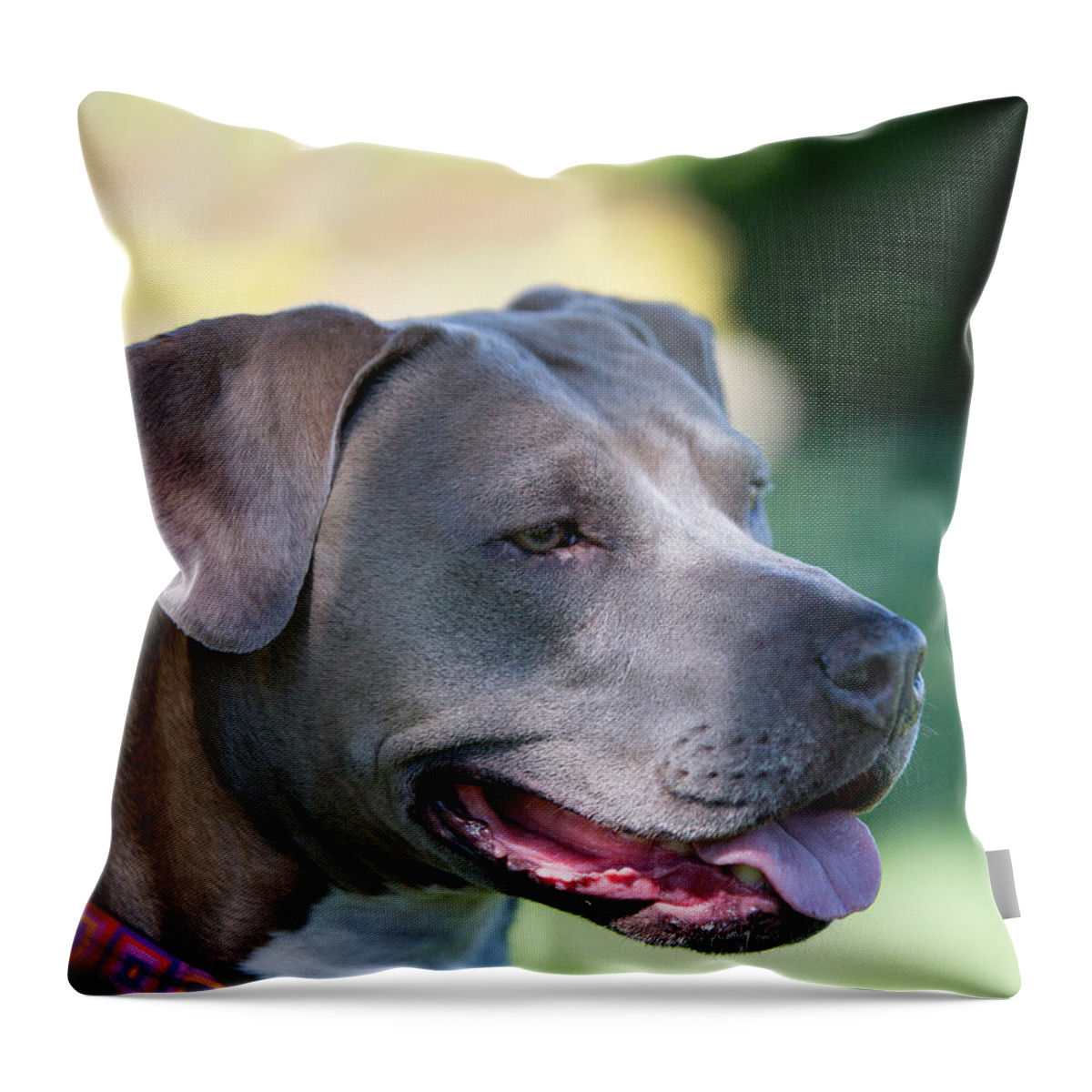  Throw Pillow featuring the photograph Ruby 24 by Rebecca Cozart