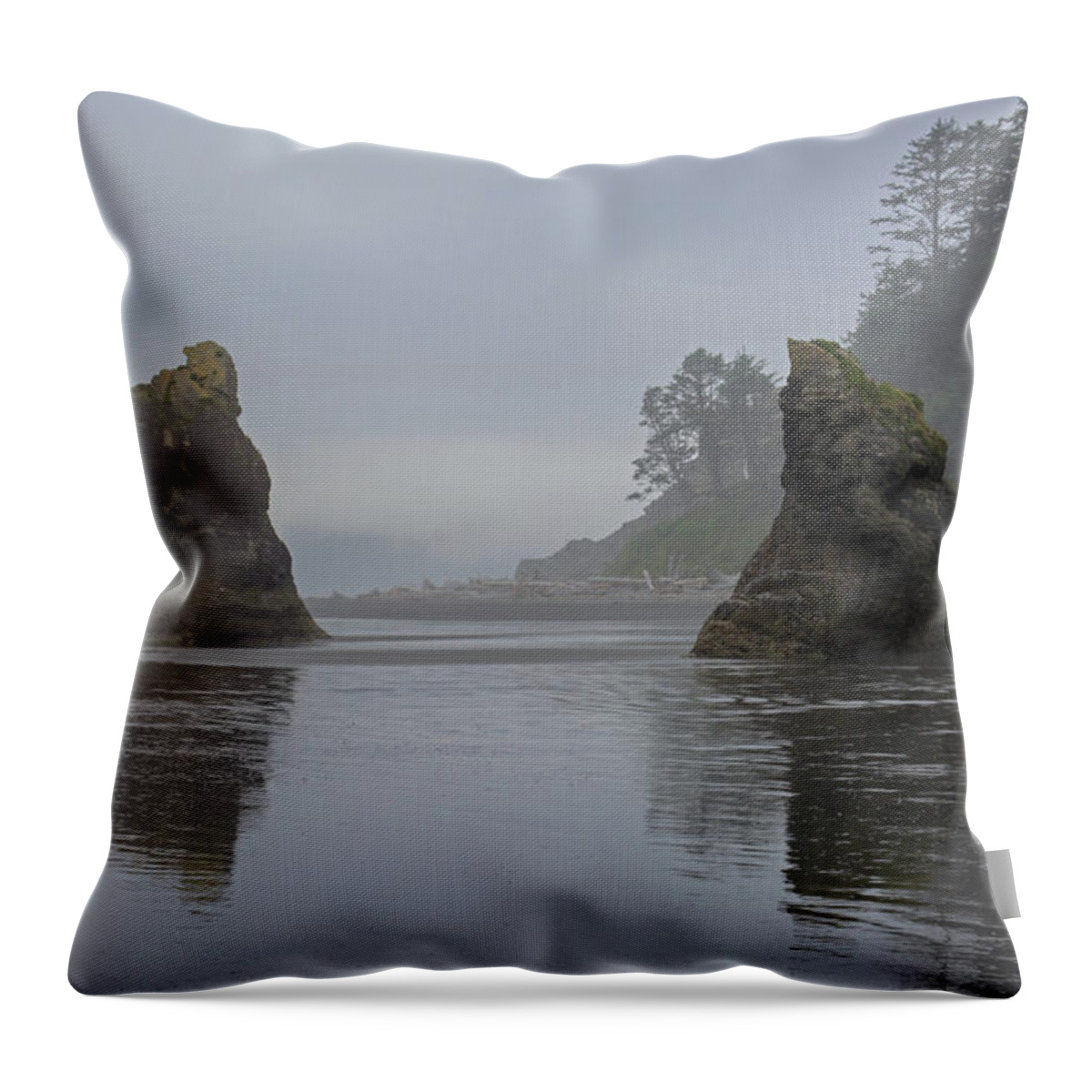 Beach Throw Pillow featuring the photograph Ruby Beach Reflections by Tikvah's Hope