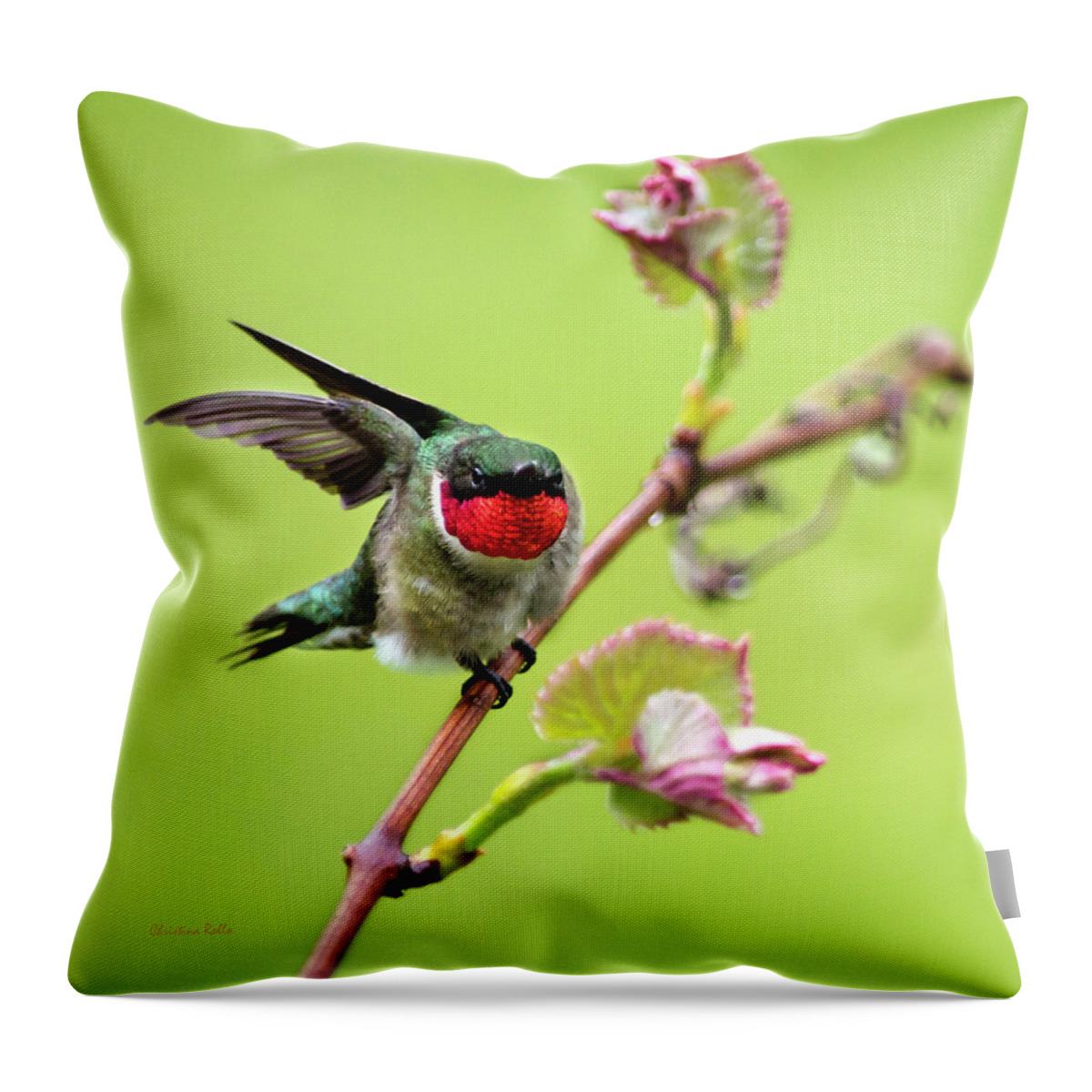 Birds Throw Pillow featuring the photograph Ruby Garden Hummingbird by Christina Rollo