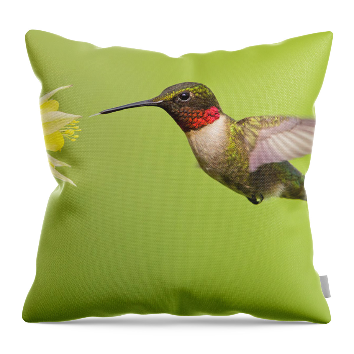 Ruby Throw Pillow featuring the photograph Ruby-Throated Hummingbird by Mircea Costina Photography