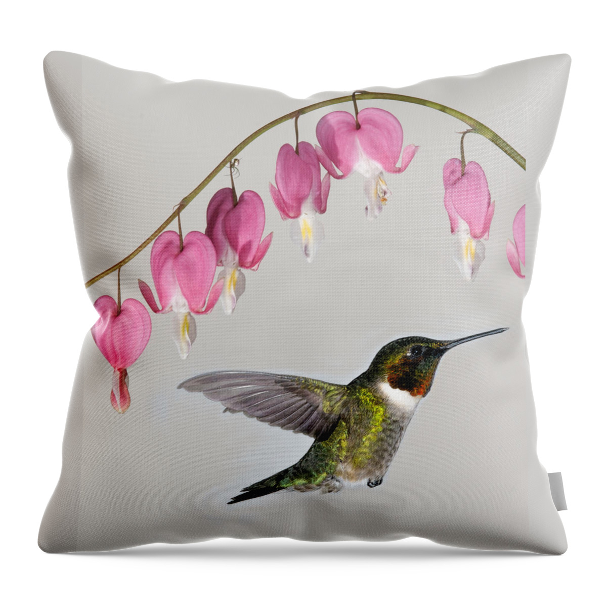 Archilochus Colubris Throw Pillow featuring the photograph Ruby-Throated Hummingbird With Bleeding Hearts by Lara Ellis