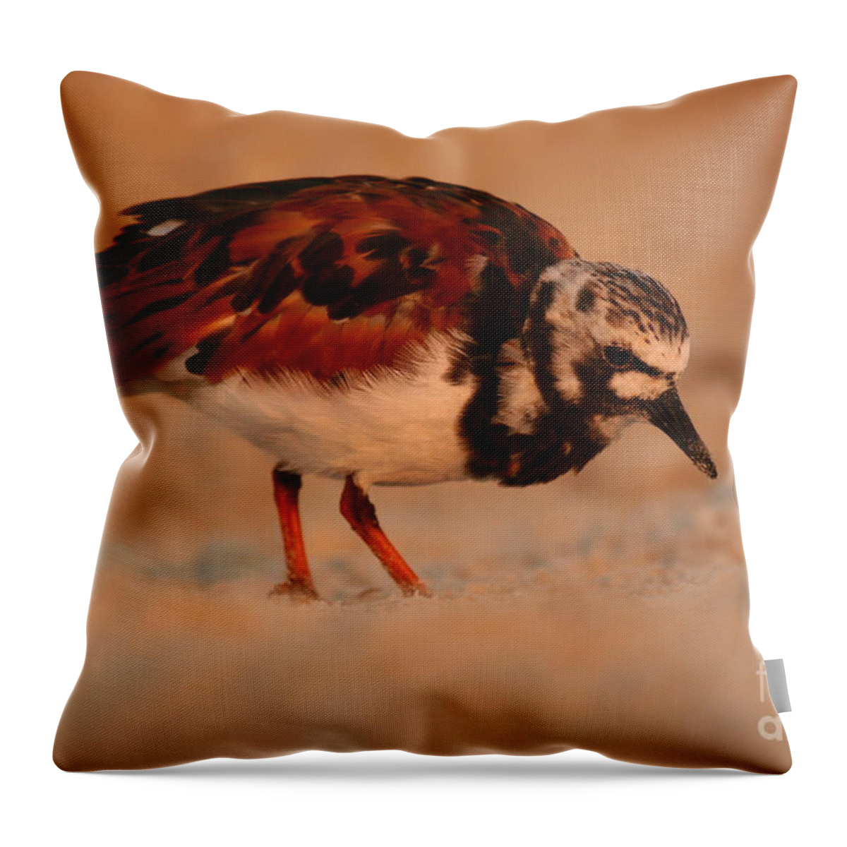 Birds Throw Pillow featuring the photograph Turning The Stone by John F Tsumas