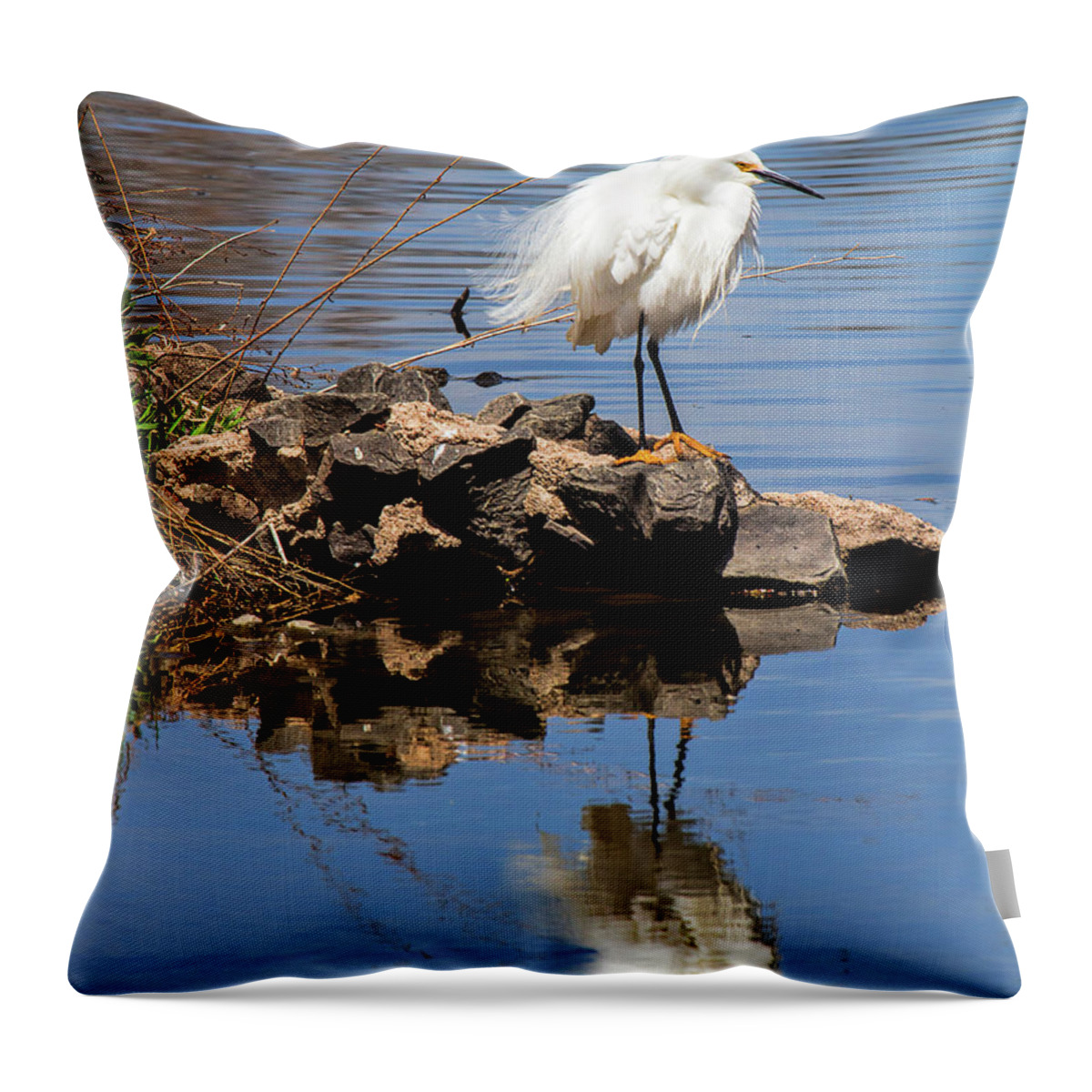 Snowey Egret Throw Pillow featuring the photograph Ruffled Feathers by Jim Garrison