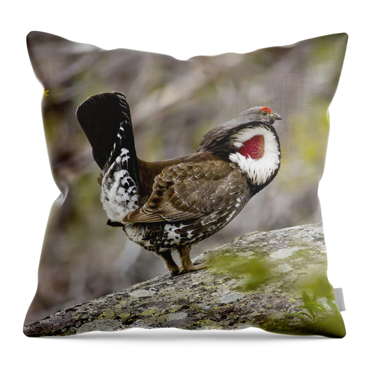 Wildlife Throw Pillow featuring the photograph Ruffled Grouse by Albert Seger