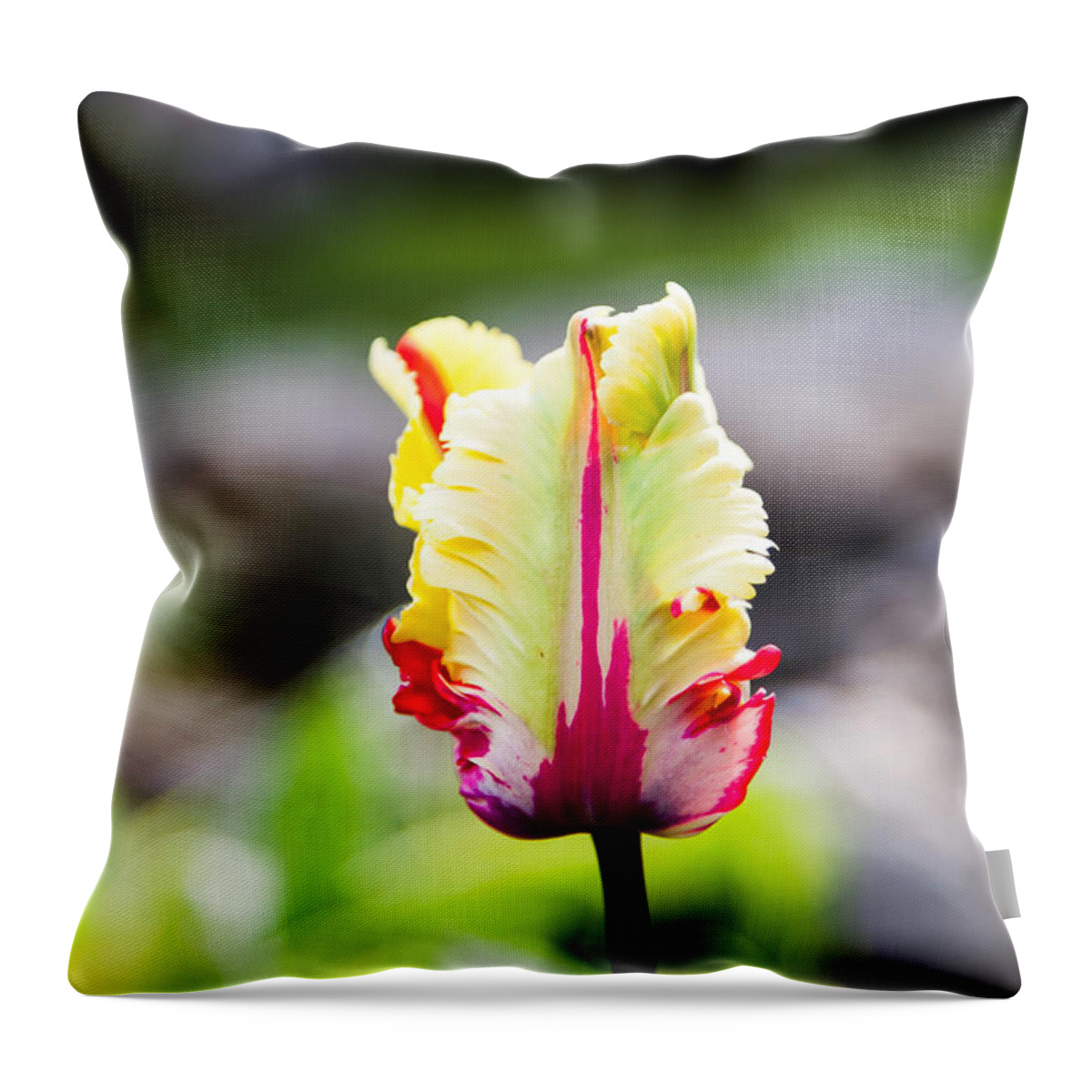 Bellingham Throw Pillow featuring the photograph Ruffles and Ridges by Judy Wright Lott