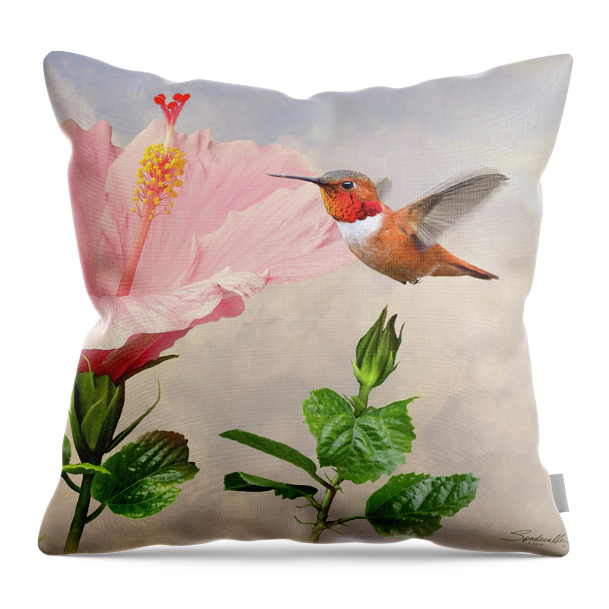 Bird Throw Pillow featuring the digital art Rufous Hummingbird and Pink Hibiscus Flower by M Spadecaller