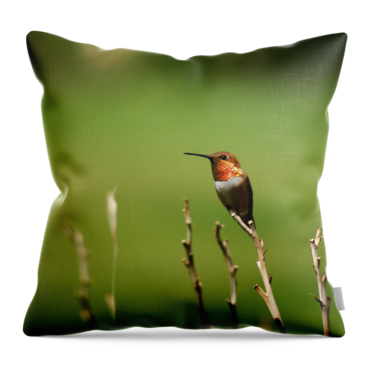Bird Throw Pillow featuring the photograph Rufous Hummingbird in Meadow by Mary Lee Dereske