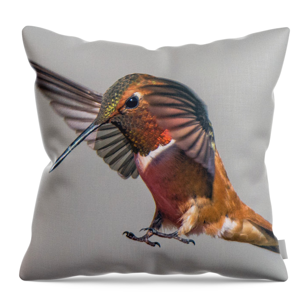 Rufous Throw Pillow featuring the photograph Rufous Male Hummingbird by Stephen Johnson