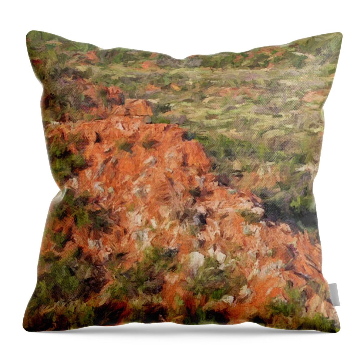 Texas Throw Pillow featuring the painting Rugged Patch Nbr 01A by Will Barger