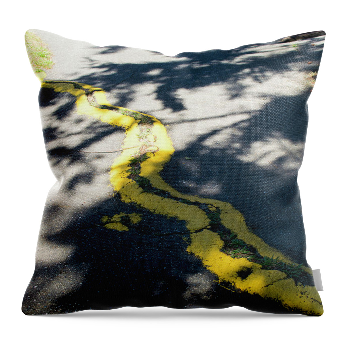 Runners Beware Throw Pillow featuring the photograph Runners Beware by Tom Cochran