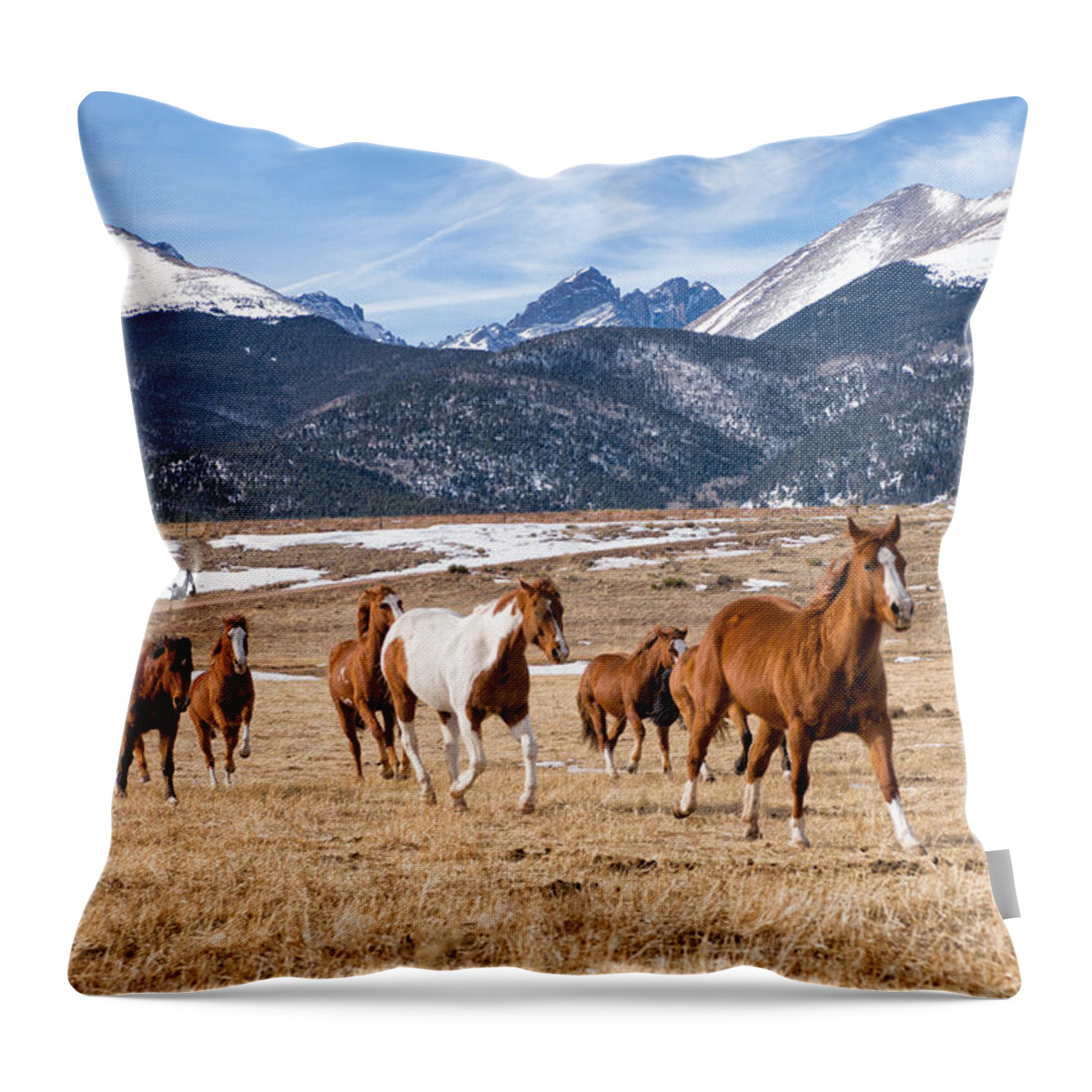 Colorado Throw Pillow featuring the photograph Running Free by Elin Skov Vaeth