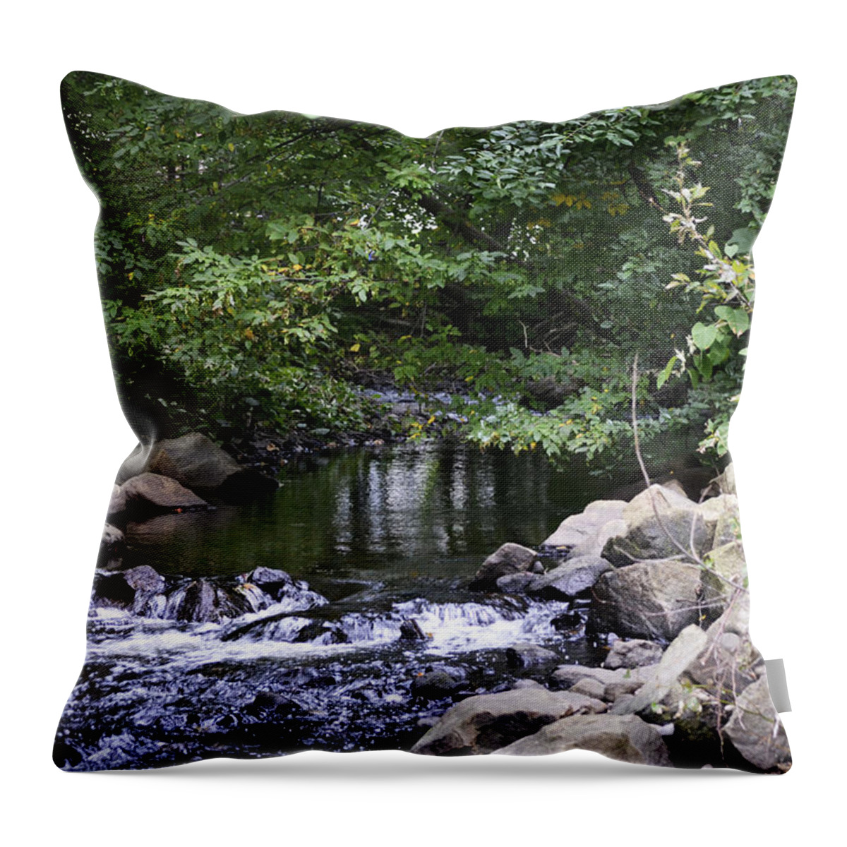 Creek Throw Pillow featuring the photograph Running Home by Melanie Moraga