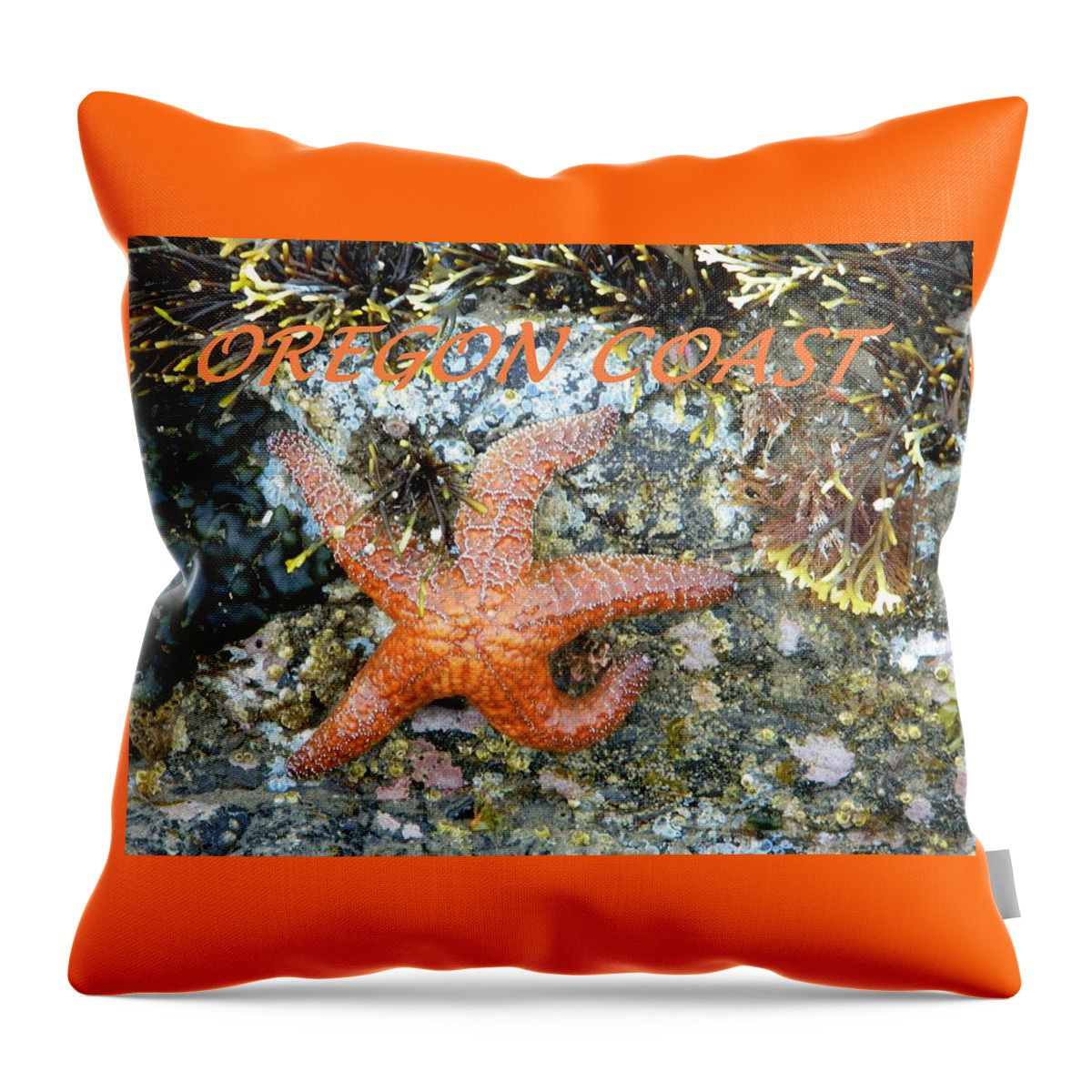 Starfish Throw Pillow featuring the photograph Running Starfish by Gallery Of Hope 
