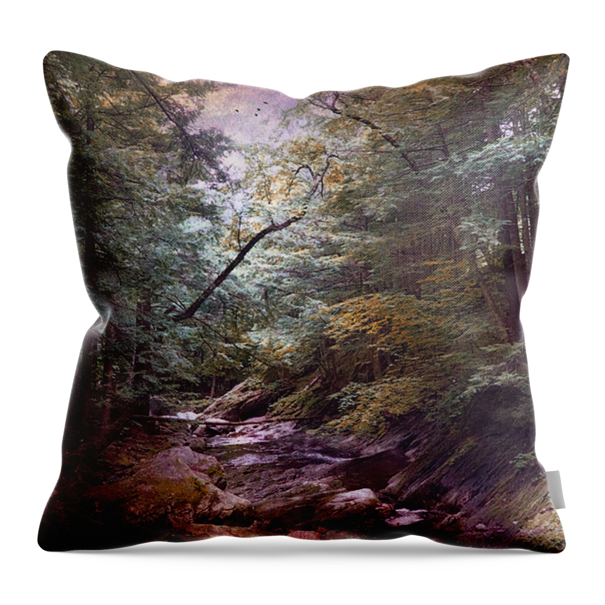 Water Throw Pillow featuring the photograph Running Waters by John Rivera