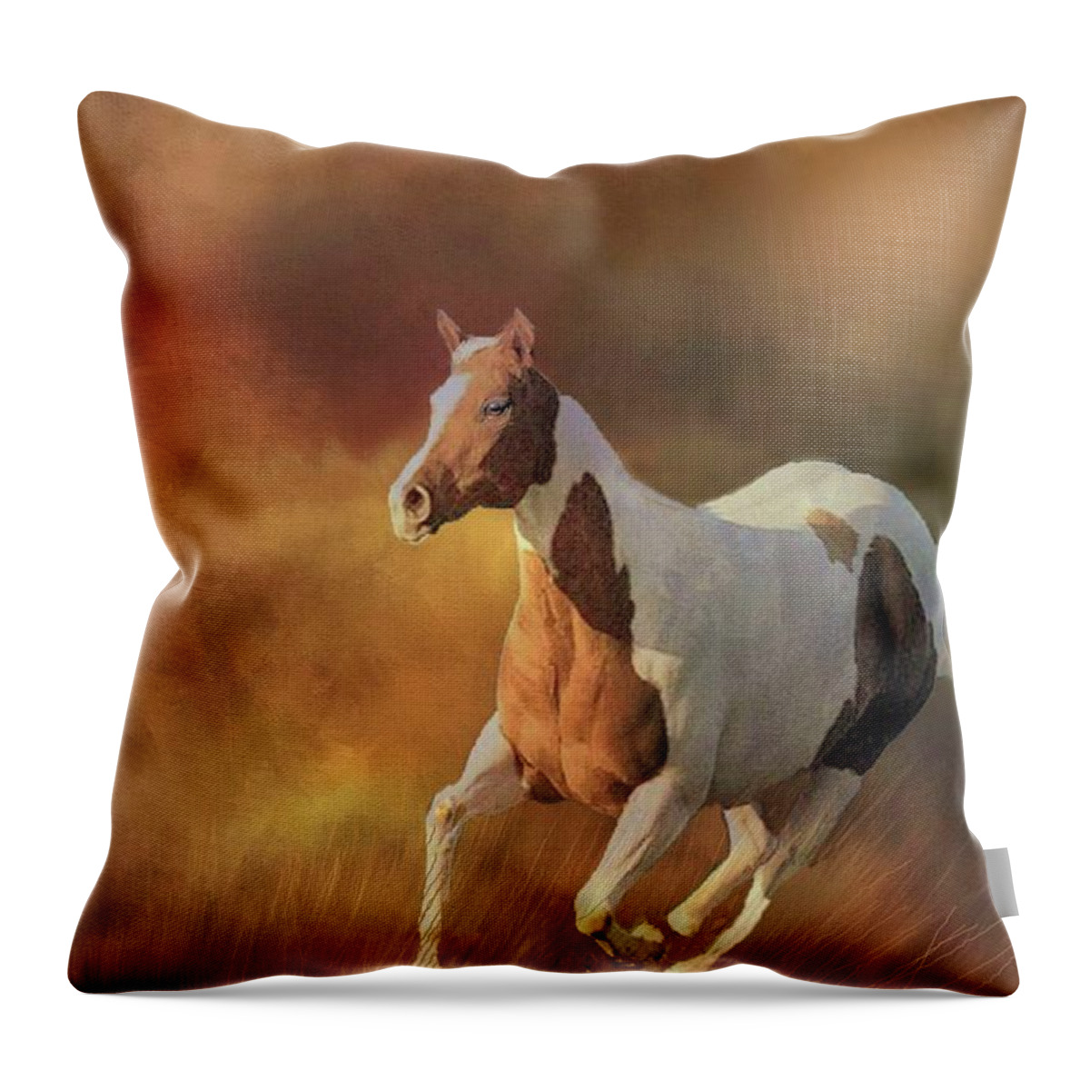 Pinto Throw Pillow featuring the photograph Running Wild by Janette Boyd