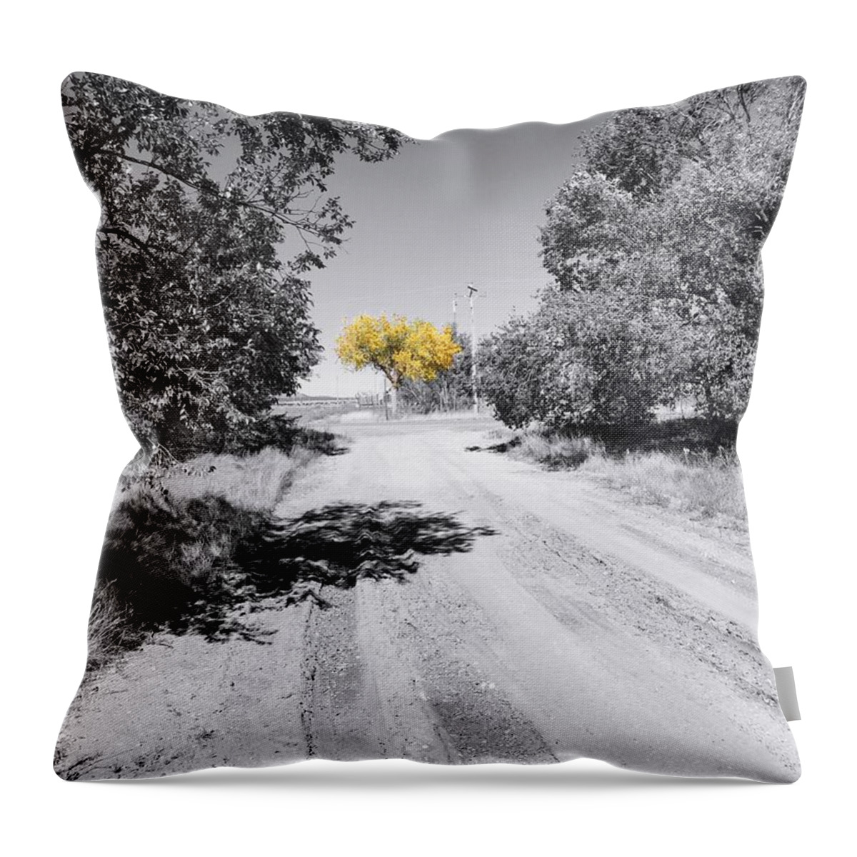 Autumn Throw Pillow featuring the photograph Rural Autumn Splash by Brad Hodges