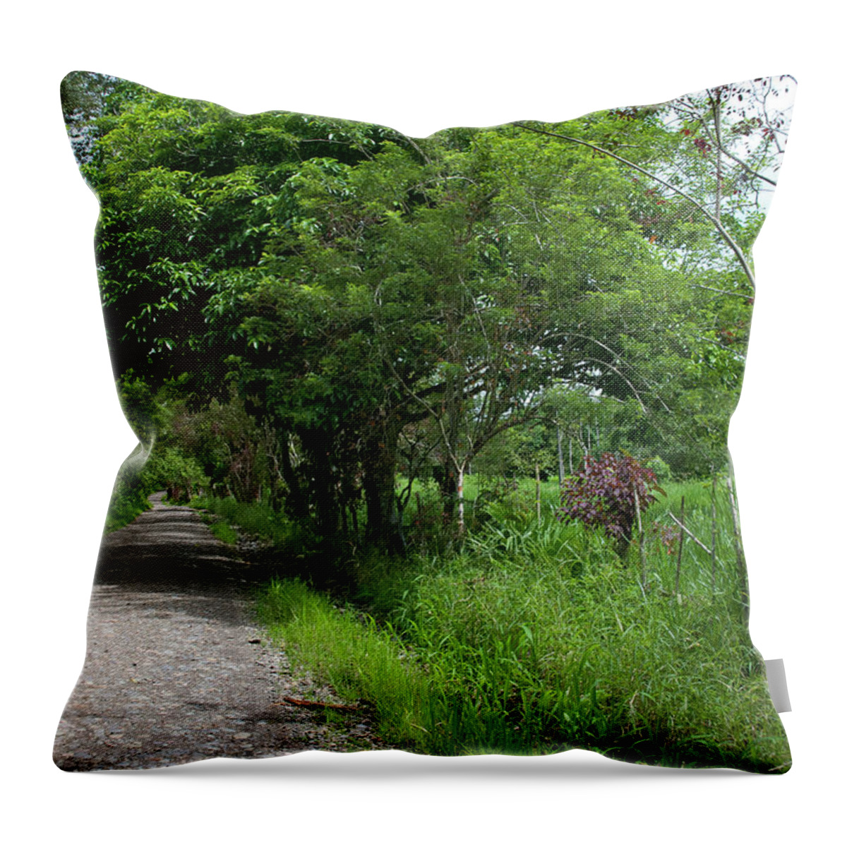Ecuador Throw Pillow featuring the photograph Rural Ecuador near the Napo River by Cascade Colors