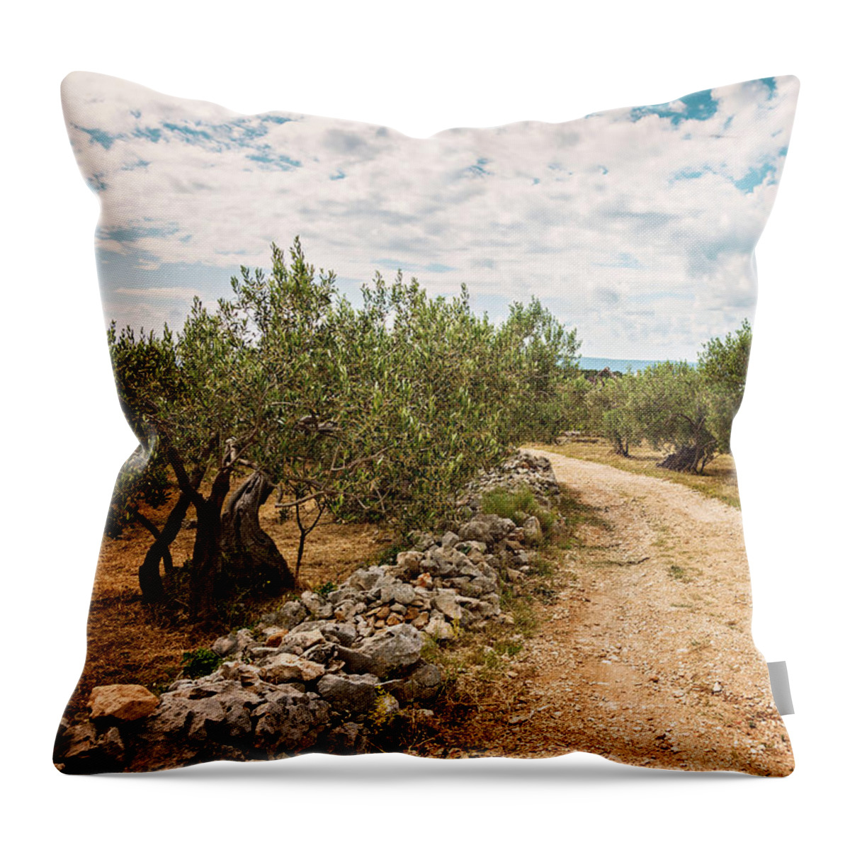 Croatia Throw Pillow featuring the photograph Rural olive grove by Sophie McAulay