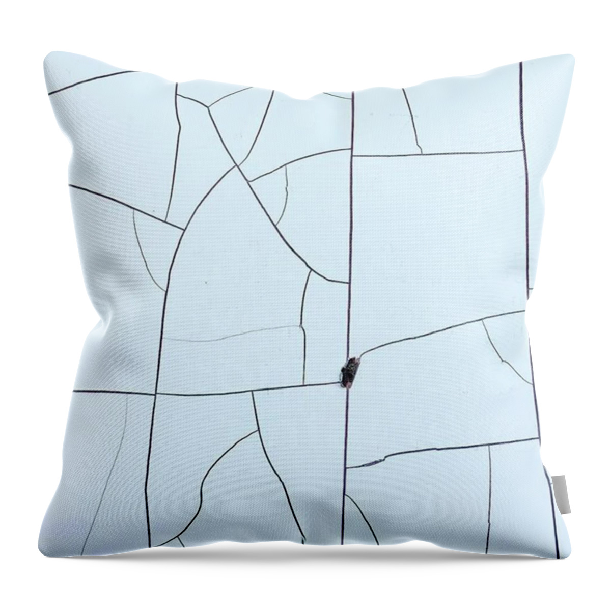 Paintcrackle Throw Pillow featuring the photograph Rural Roads And Snowy Fields From by Ginger Oppenheimer