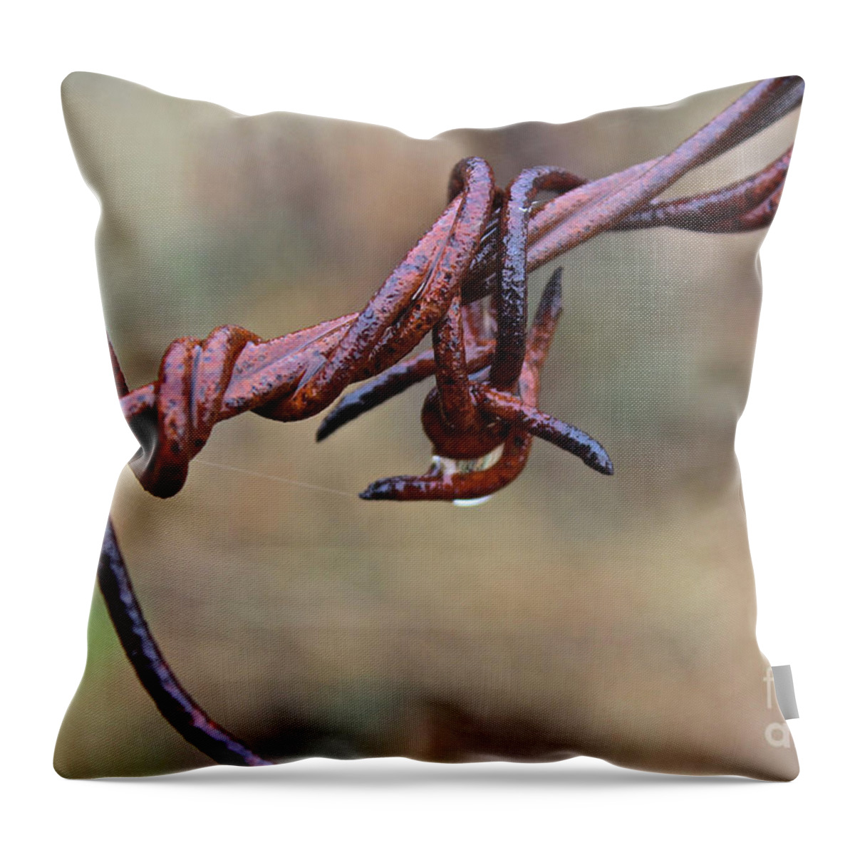 Barbed Wire Throw Pillow featuring the photograph Rusted and Wet by Ann E Robson