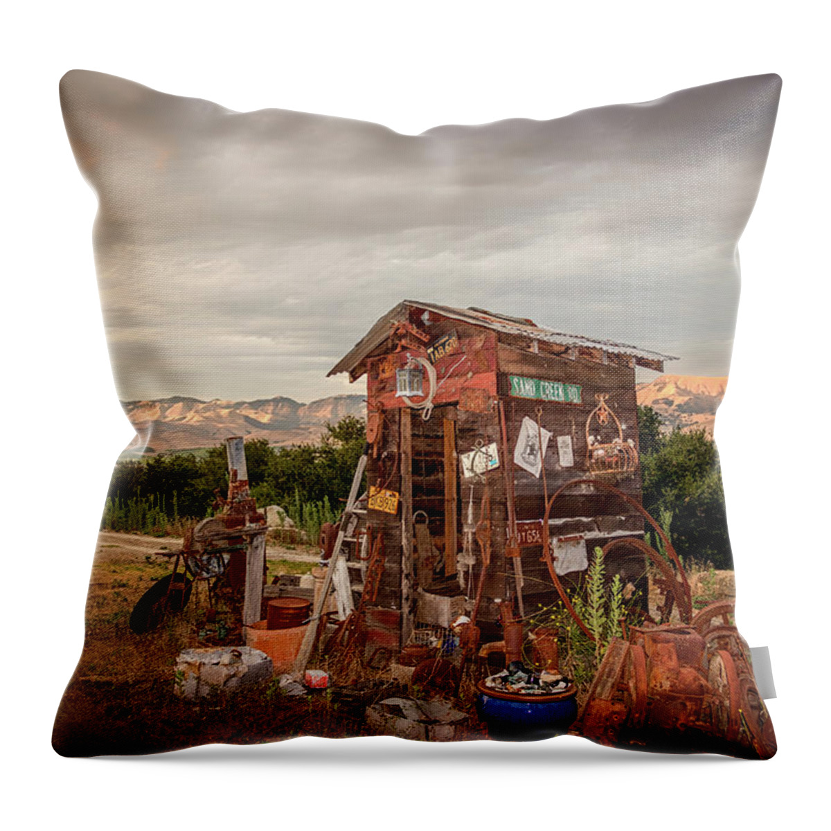 Carpenter Canyon Throw Pillow featuring the photograph Rustic Beauty by Marnie Patchett