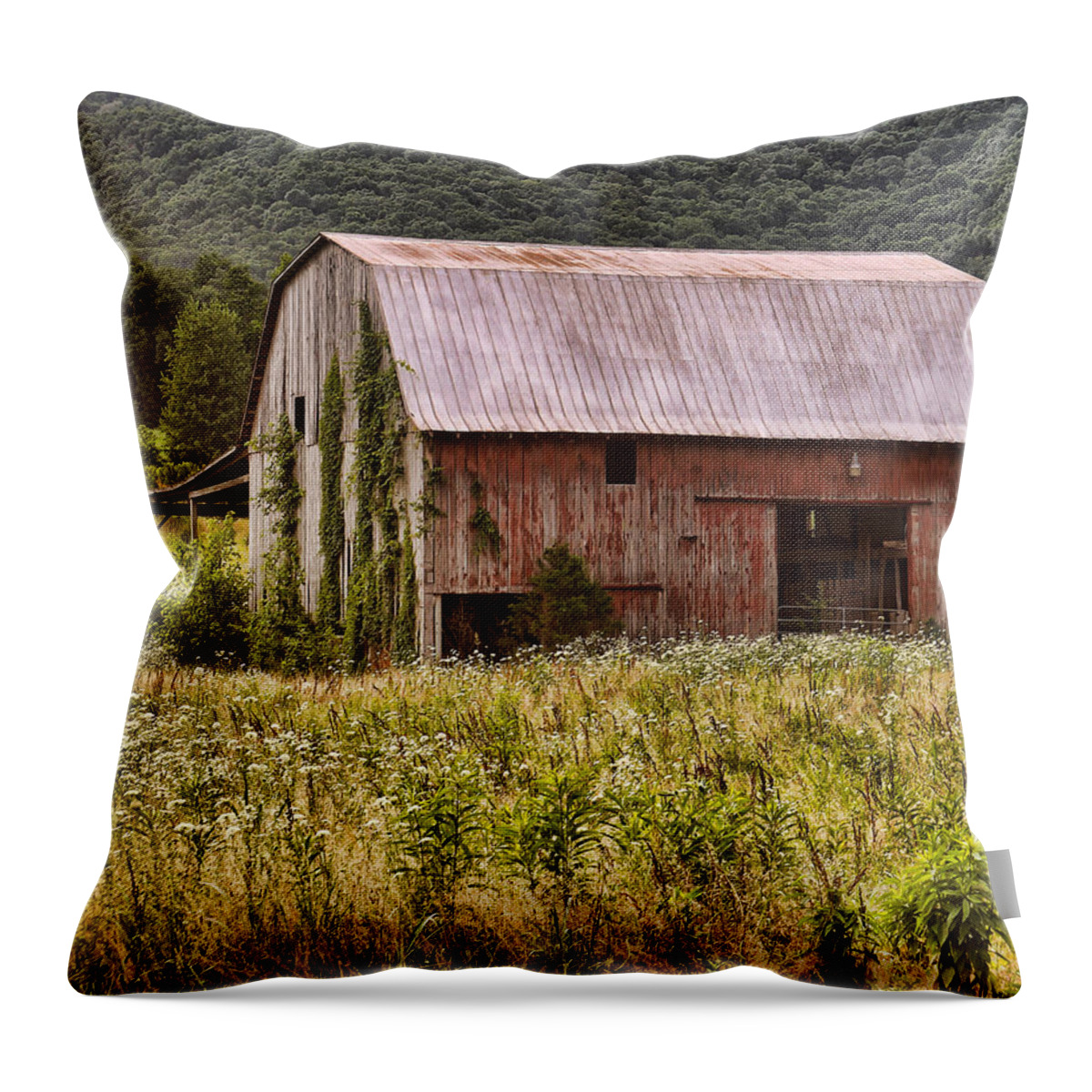 Barn Throw Pillow featuring the photograph Rustic Country Barn by TnBackroadsPhotos