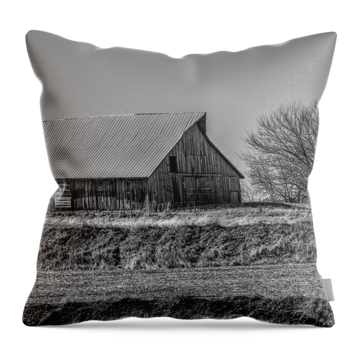 Iowa Throw Pillow featuring the photograph Rustic Rural Iowa by J Laughlin