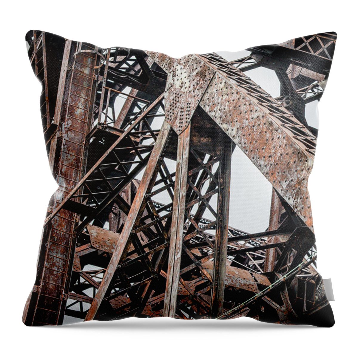 Chicago Throw Pillow featuring the photograph Rusty Iron by Anthony Doudt