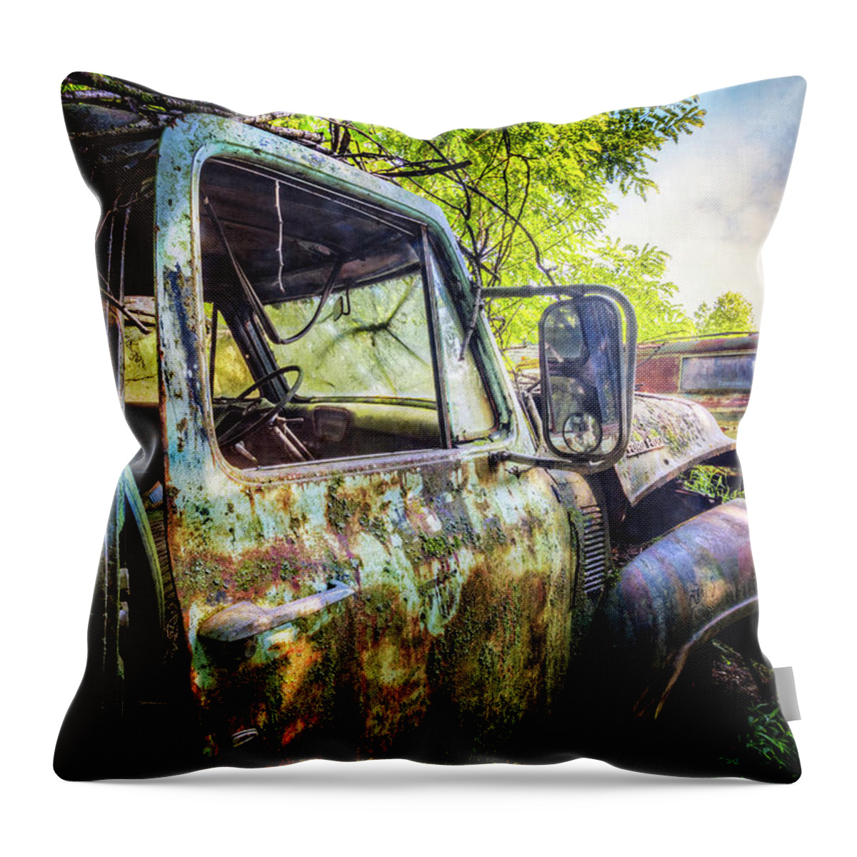 100 Throw Pillow featuring the photograph Rusty Old Ford Truck by Debra and Dave Vanderlaan