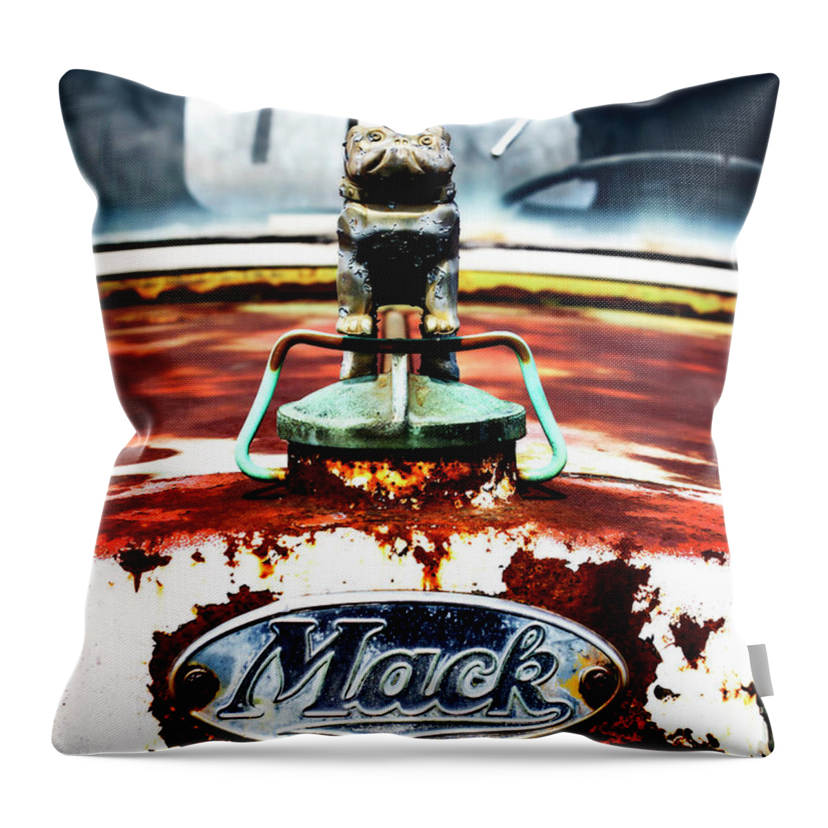 Color Throw Pillow featuring the photograph Rusty Old Truck -4 by Alan Hausenflock