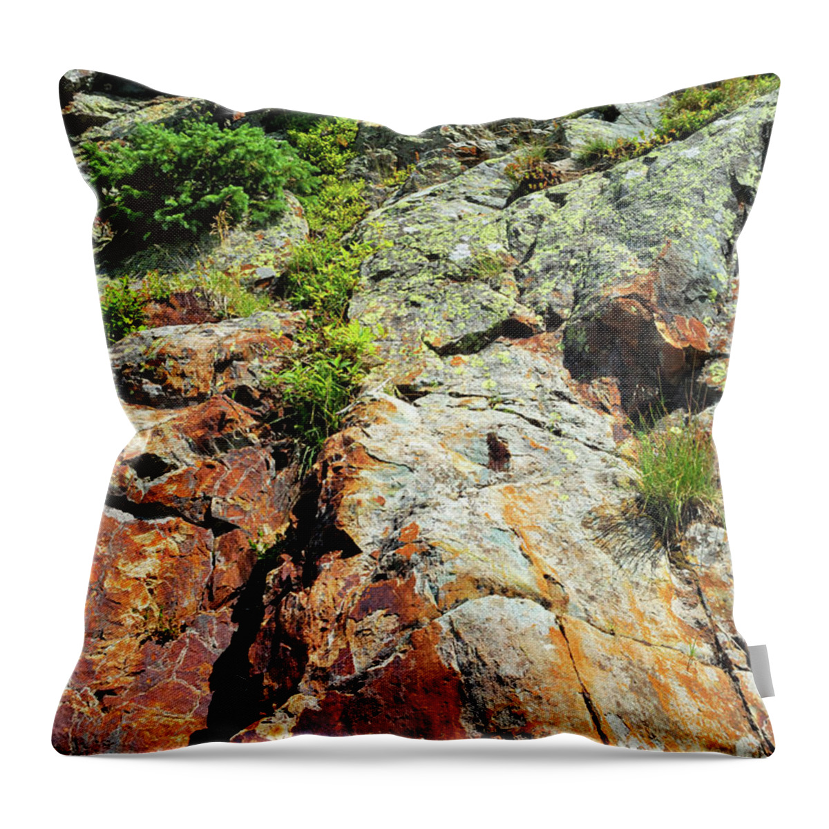 Rock Throw Pillow featuring the photograph Rusty Rock Face by Ron Cline