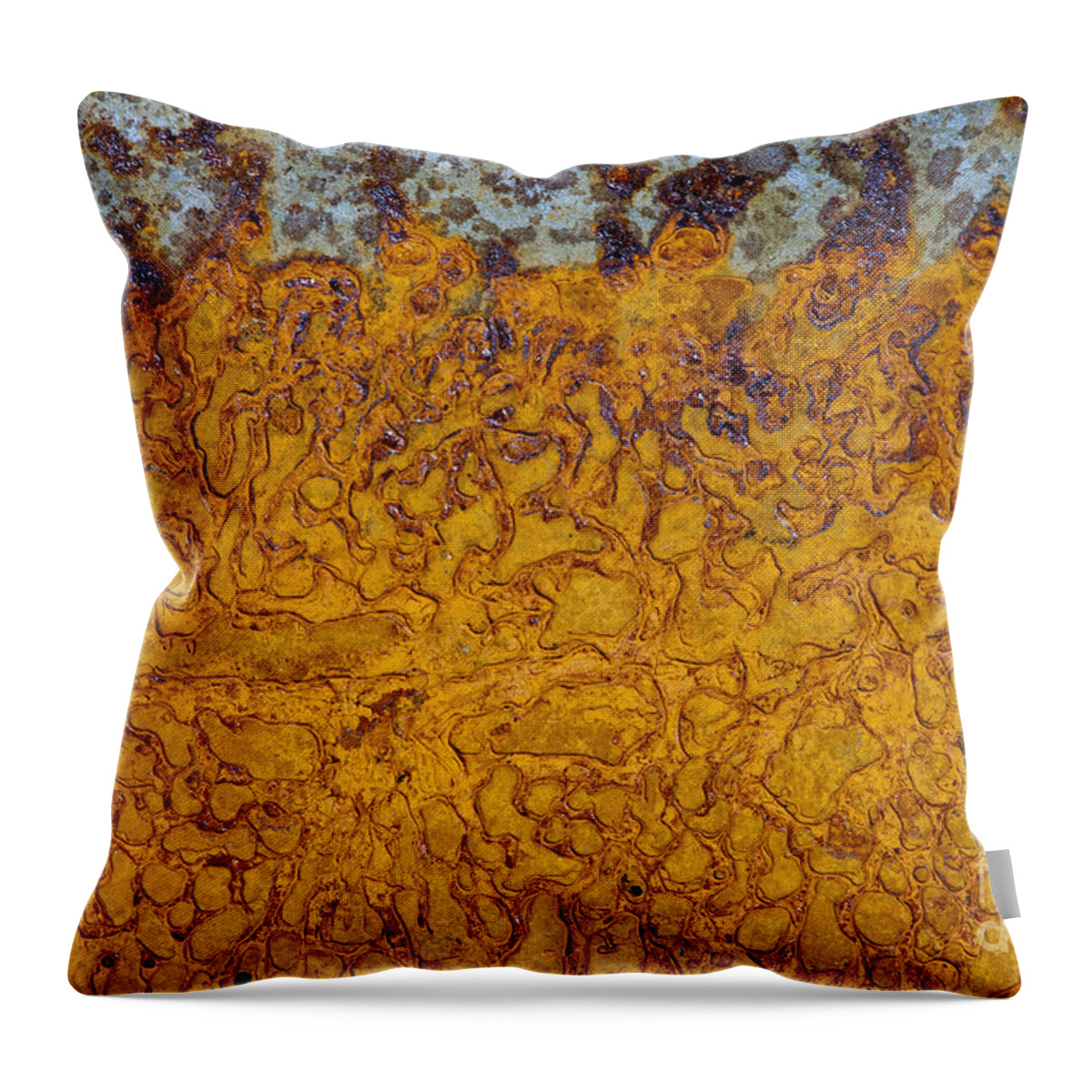 Rust Throw Pillow featuring the photograph Rusty by Tim Gainey
