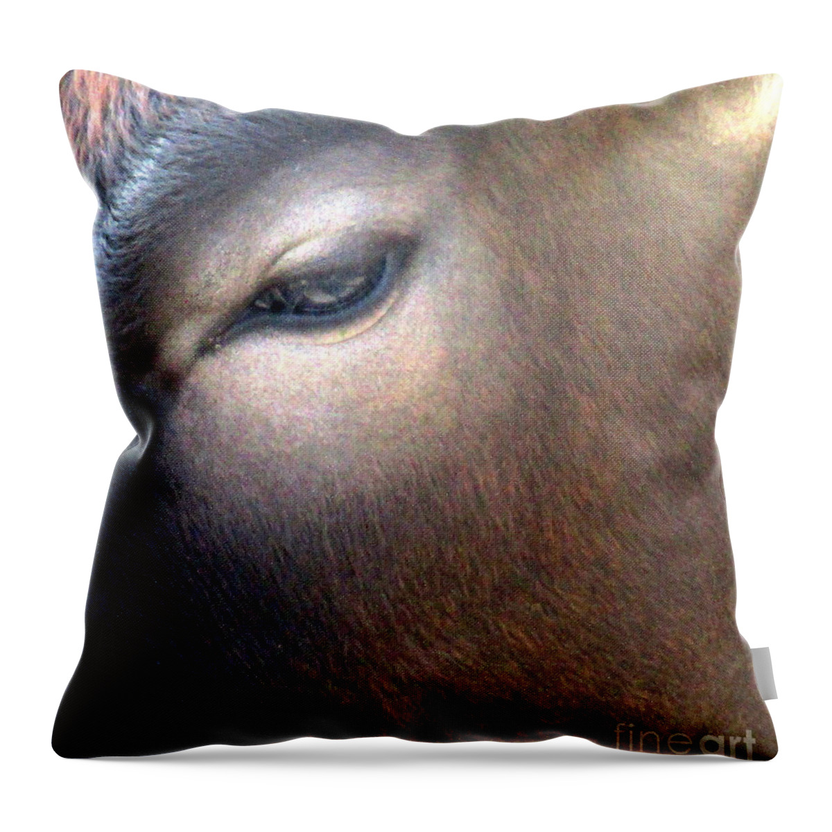 Sacred Cow Throw Pillow featuring the photograph Sacred Cow 5 by Randall Weidner