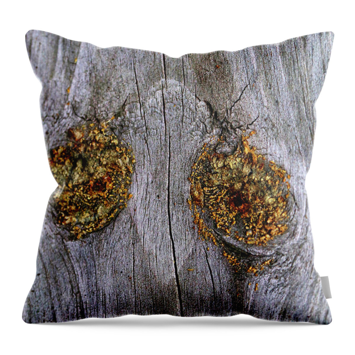 Wood Throw Pillow featuring the photograph Sad by Mary Bedy
