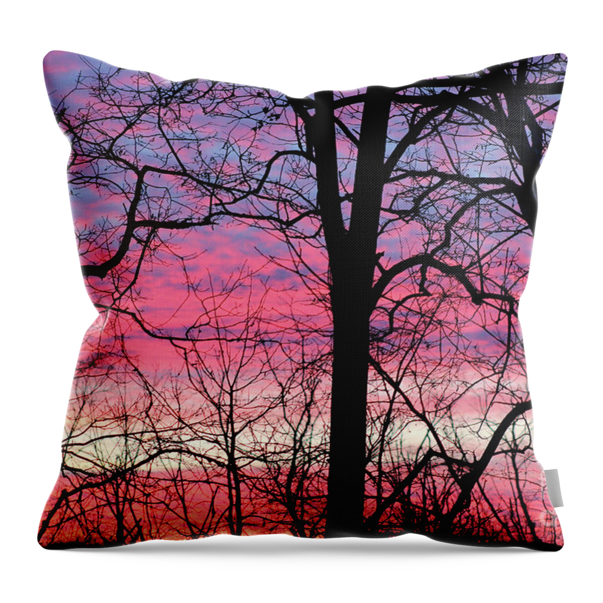 Nature Throw Pillow featuring the photograph Safely Rest by Karen Adams