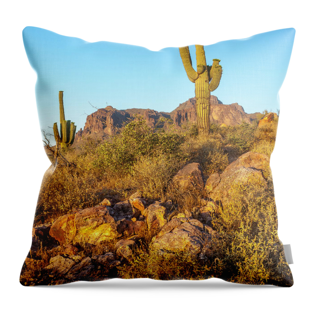 Saguaro Cactus Throw Pillow featuring the photograph Saguaro Cactus in the Superstitions by Donald Pash