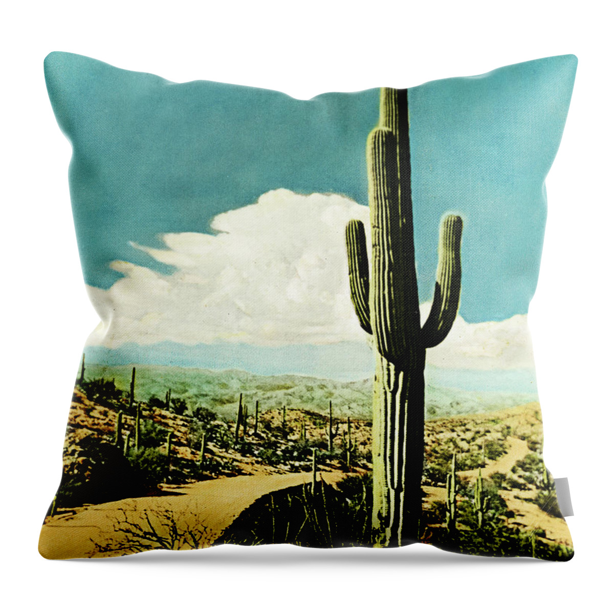 Vintage Throw Pillow featuring the photograph Saguaro Cactus by Marilyn Hunt