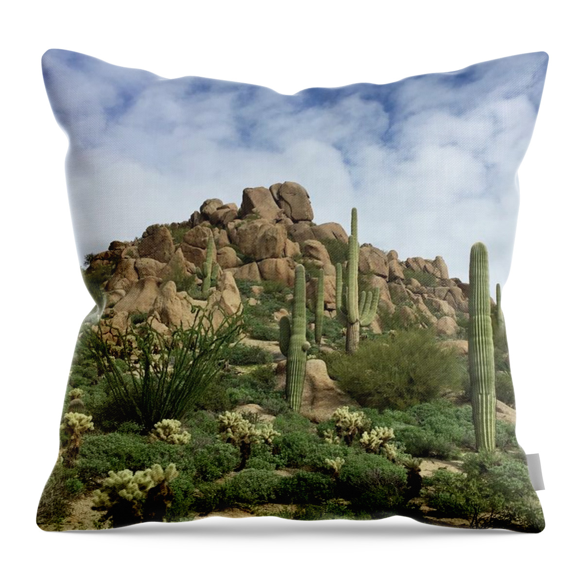 Desert Landscape Throw Pillow featuring the photograph Saguaro by Carolyn Mickulas