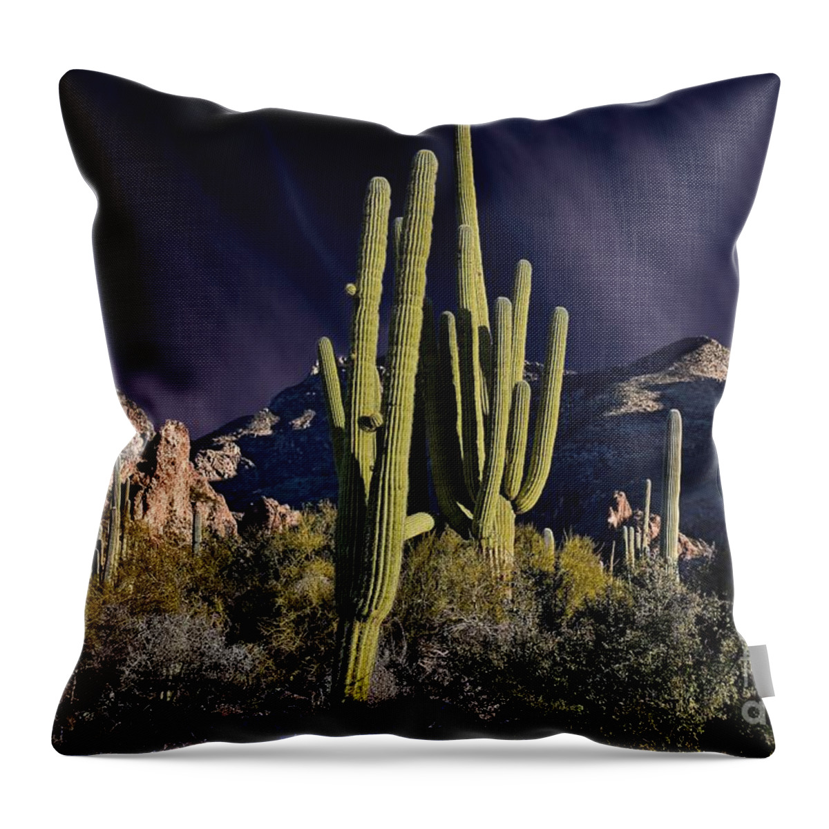 Saguaro Throw Pillow featuring the photograph Saguaro Dawn by Henry Kowalski