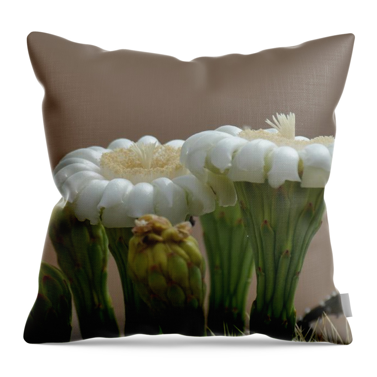 Saguaro Throw Pillow featuring the photograph Saguaro Flower by Frank Madia