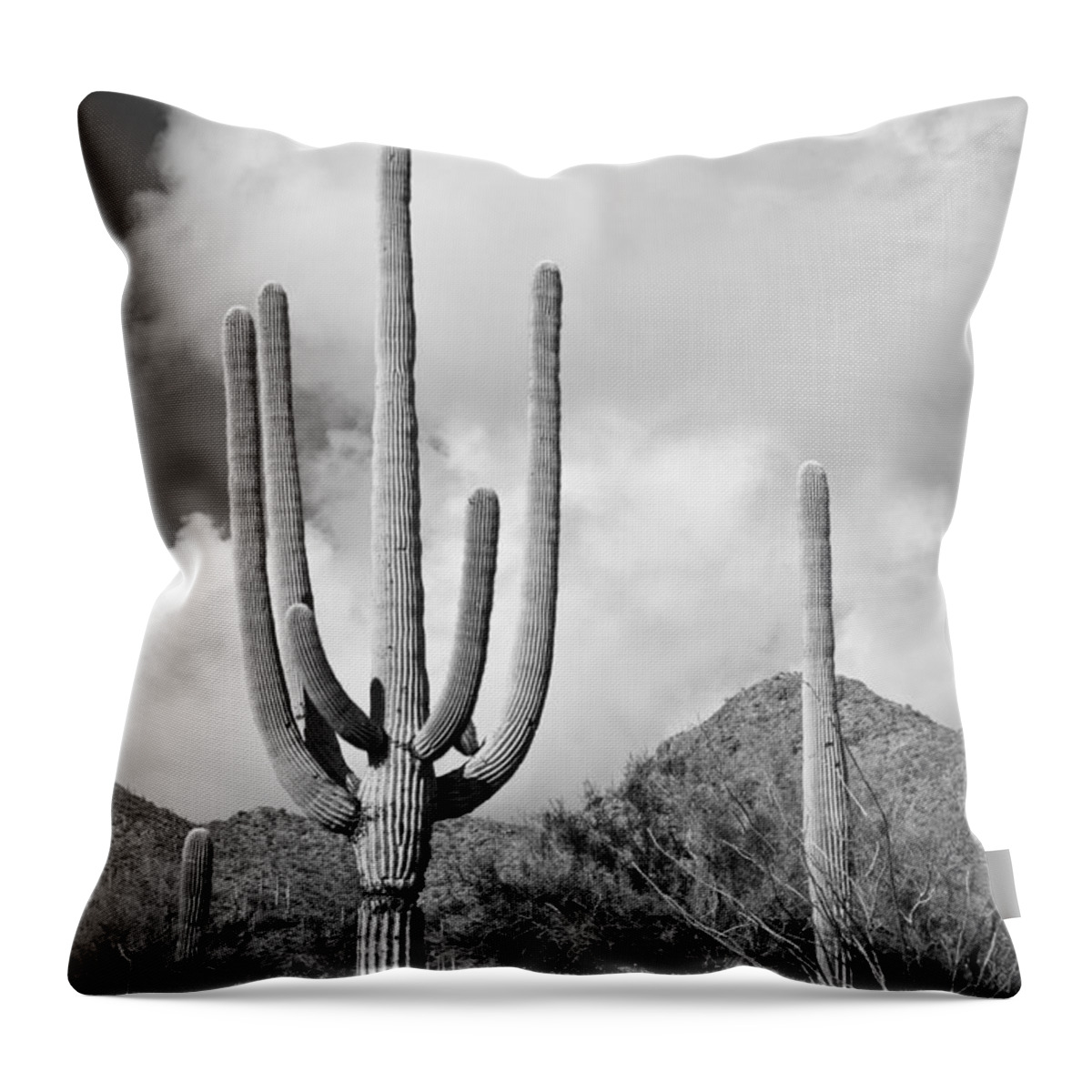 Saguaro Throw Pillow featuring the photograph Saguaro by Olivier Steiner